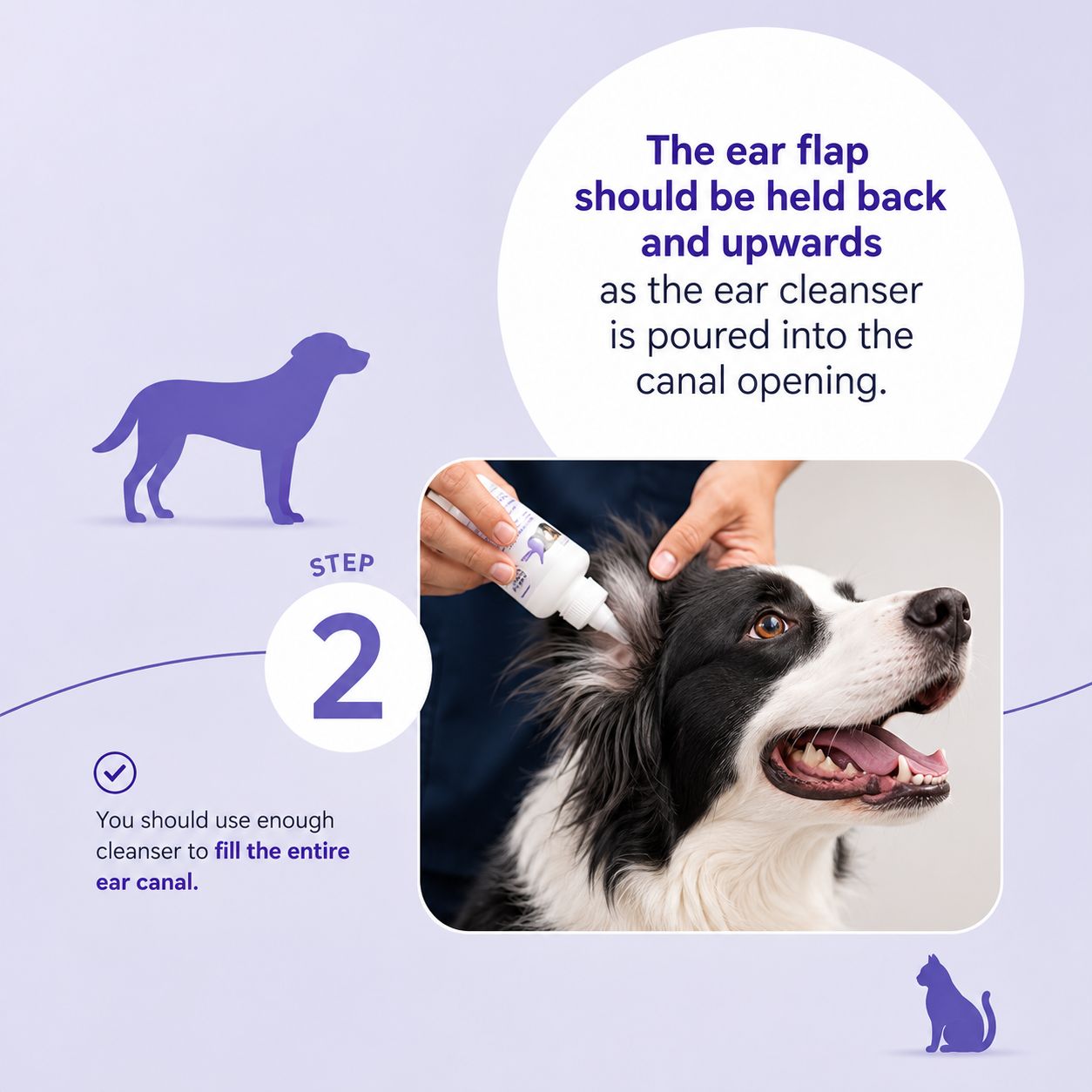 Pet Ear Cleaner